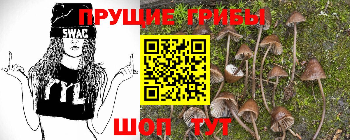 Псилоцибиновые грибы GOLDEN TEACHER Петрозаводск