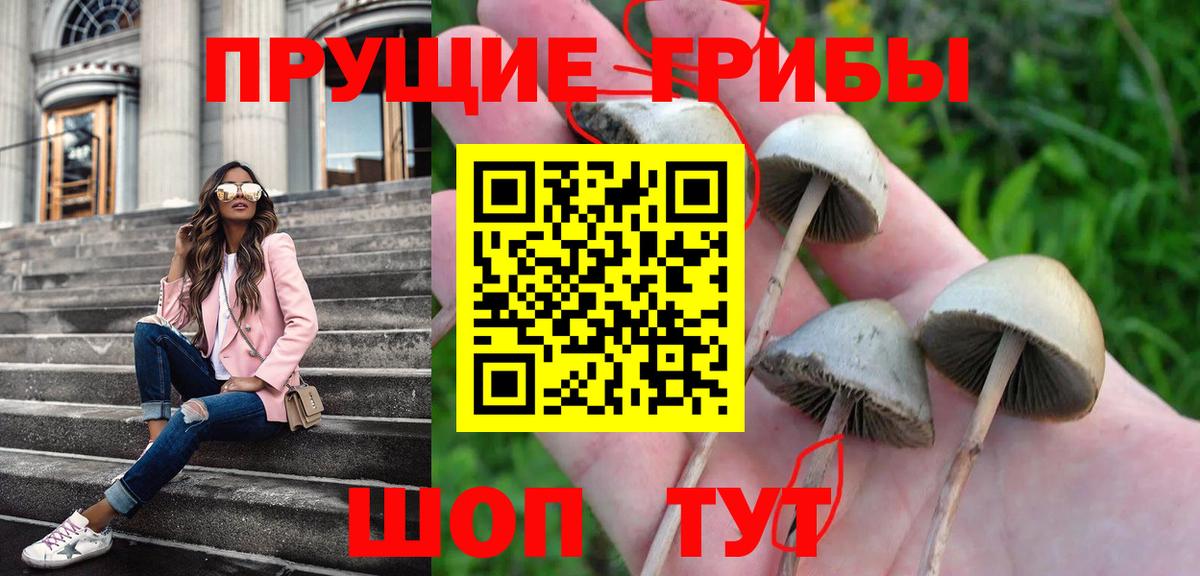 Псилоцибиновые грибы мухоморы  Псилоцибиновые грибы GOLDEN TEACHER  купить наркотики цена  Петрозаводск  Вход с VPN 