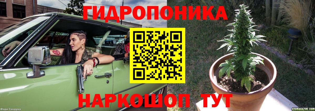 Каннабис гибрид Петрозаводск